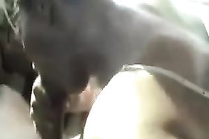 Amateur white girl gives me head in the car on webcam