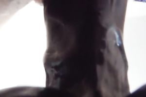 Toying girlfriend's soaked wet crack and eating out her dry