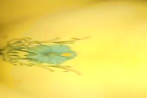 I love to fuck my wife's pierced pussy with my BBC