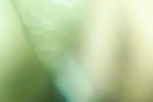 Purple haired lewd cheap whore provided my buddy with a BJ