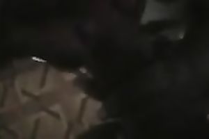 Dark skinned cheap dilettante floozy works on my buddy's powerful knob