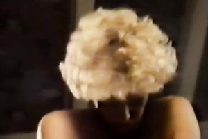 Sizzling golden-haired chick sucks hard wang and then humps on top vigorously