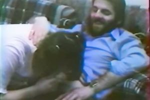 Brunette classic cutie gives head and bows over on the sofa