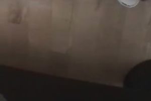 My hawt Arab milf slutwife flashing her hairless snapper on self made clip