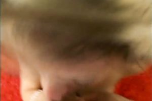 Cute nasty blondie gives carnal head on POV tape