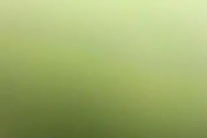 Voracious golden-haired teen babe after party engulfing and fucking me