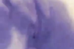 My ex girlfriend getting her butthole rammed hard missionary style