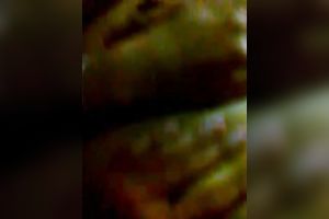 My recent GF is quite sexy with her milk shakes and this babe can't live without having 'em fondled