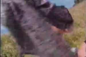 Whorish and incredibly kinky blonde honey acquires her throat permeated