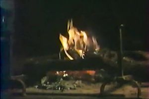 Sizzling hawt and elegant white sweetheart giving carnal head