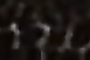 Pussy eating chap finds a lewd blond willing to receive rug munch