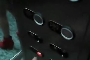 Alluring cute doxy was engulfing my buddy's beefy penis in elevator