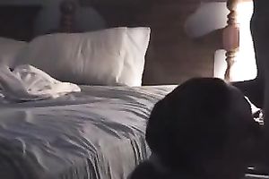 Cute and pliant dark brown horny white wife gives me head on webcam