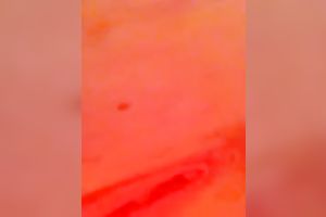 Anonymous handsome playgirl pleases her pink poontang