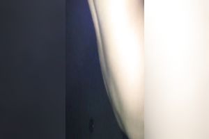 Shagging my hawt playgirl missionary style after that babe sucked me deepthroat