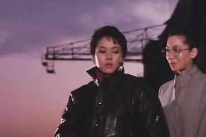 Asian beauties take up with the tongue every other's mambos and love tunnels in the shower