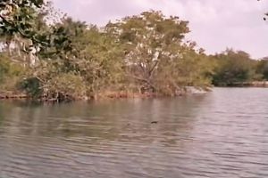 Nude and hot hotties exposing their love muffins and snatches got screwed hard