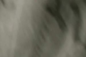 Sporty next door cheating wife sucked our weenies outdoor instead of jogging