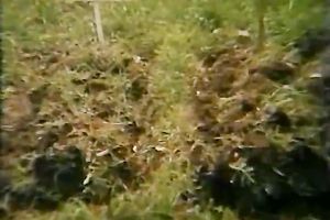 Busty and excited women loved to share one big dick of their ally