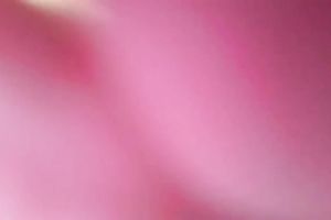 Sweet leggy beauty of mine flashes her hairless vagina underneath her suit