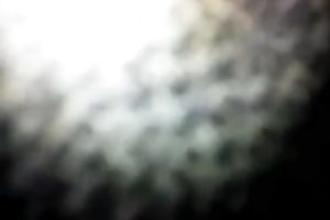 Torrid dilettante gorgeous dating with me white lady wanted my shlong unfathomable in her love tunnel