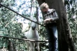 Hortny and horny wench with worthy wazoo receives shoved hard