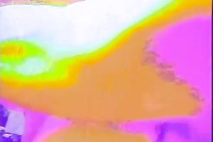 Sweet and nasty blonde white horny white wife giving astonishing head