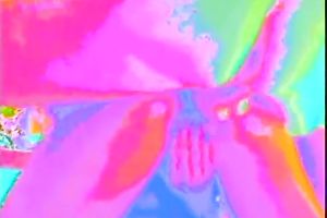 Sweet and nasty blonde white horny white wife giving astonishing head