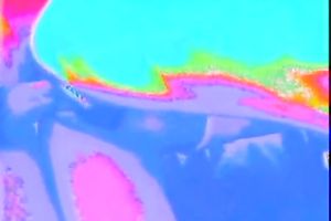 Sweet and nasty blonde white horny white wife giving astonishing head