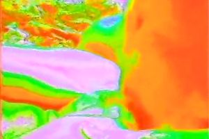 Sweet and nasty blonde white horny white wife giving astonishing head