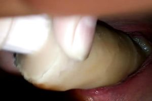 Fucking precious closeup of my lascivious GF's pierced twat and perverted sex toy