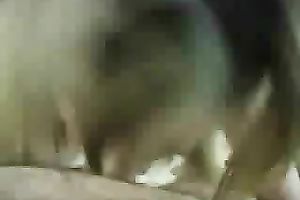 Deepthroating frenzy of my playful golden-haired girlfriend in bedroom