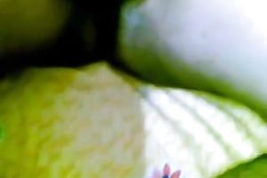 Nice fingering curly cookie of my sexy breasty Pakistani girlfriend