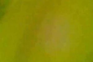 Nice fingering curly cookie of my sexy breasty Pakistani girlfriend