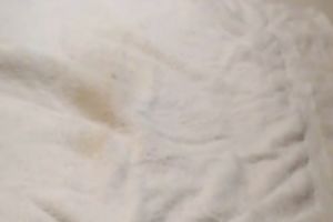 Bosomy and bulky slutty wife rubbing her fur pie and squirting