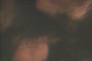 Two bawdy voracious sluts get cheerful by masker chap