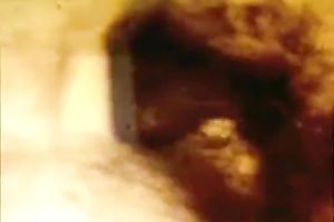 These sex crazed people are enjoying a vehement sex on the boat