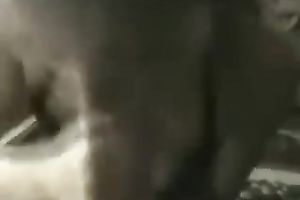 Awesome blond beauty jerking off my 10-Pounder and engulfing it with excitement