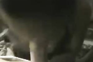 Awesome blond beauty jerking off my 10-Pounder and engulfing it with excitement