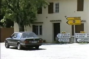 Two wild classic dark brown harlots outdoors sharing a ramrod