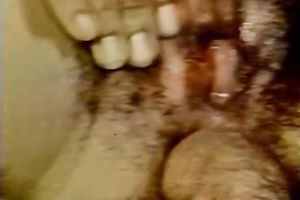 Black sweetheart got her taut and all soaked pussy team-fucked hard