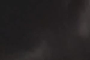 Lusty dark brown vixen voraciously blows pecker on POV movie scene