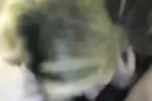 Exciting wet goodies of a lewd dark brown college black cock sluts