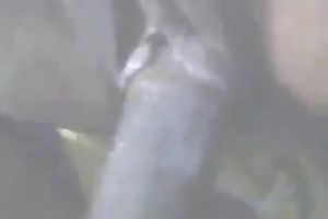 Banging sexy hotwife in her wazoo as that babe bows over on the floor