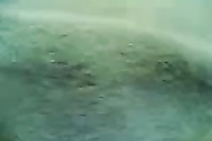 Amateur shy Asian hottie is still hungry for my 10-Pounder