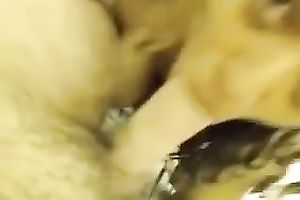 My hawt exotic ally pleases me with precious oral-stimulation