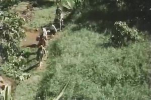 Hairy slender guy receives oral pleasure from a blonde girl outdoors