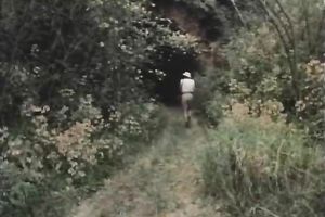 Hairy slender guy receives oral pleasure from a blonde girl outdoors