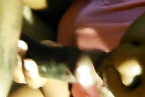 You can watch pumping veins on the large black shlong of my BF