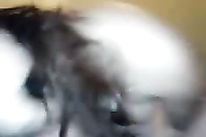 Busty lascivious non-professional casual honey provided me with a indeed good BJ